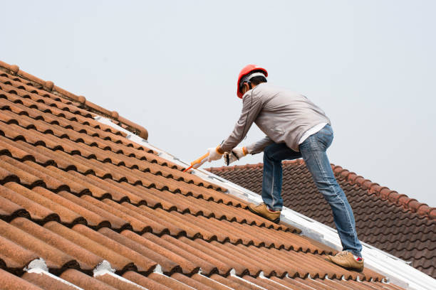 Best Solar Panel Roofing Installation  in Kuna, ID